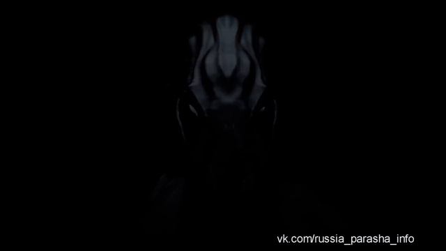 Утренняя разминка СУ 24 смотреть онлайн