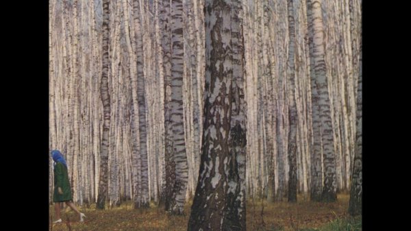 Motorama / Сборник синглов