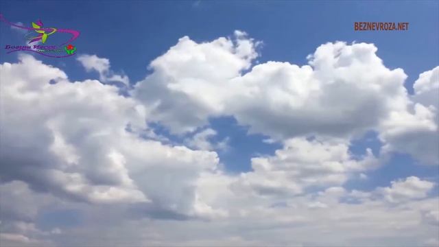 ЗАДАЙ ВОПРОС ПСИХОТЕРАПЕВТУ С Богуш Игорем Выпуск №16 .Вся правда о лечении всд.Как лечить всд смотреть онлайн