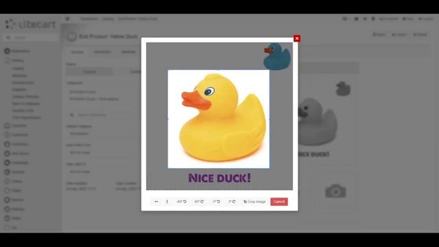 Visual Crop and rotate product images before upload for LiteCart смотреть онлайн