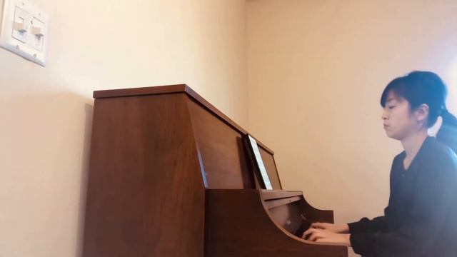 Accompaniment “Flute Sonata in E Major, BWV 1035, III. Siciliano / J. S. Bach” смотреть онлайн