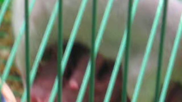 МОЕ ЛИЧНОЕ ВИДЕО смотреть онлайн