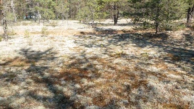 Ложный аэродром -Гадыши. смотреть онлайн