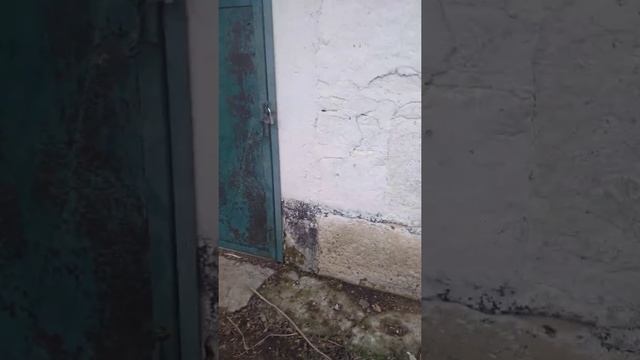 Принимаем щелевой пол!