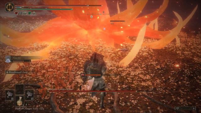 Elden Ring NG+ Malenia Giant Crusher Chad Build смотреть онлайн