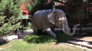 Siam Elegance turkey отель 5* НЕ ПРАВДА