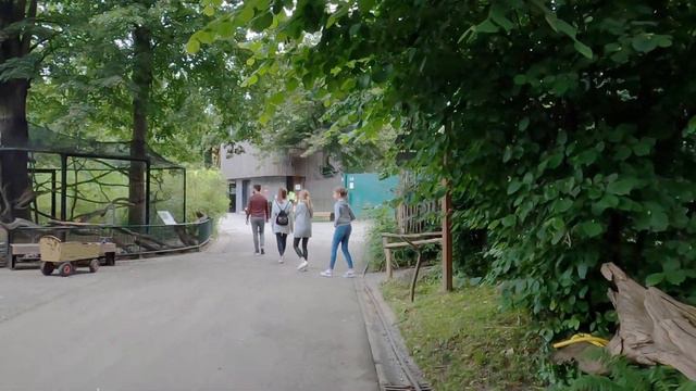 ⁴ᴷ 🇭🇷 Walking tour | Croatia ZOO virtual tour Zagreb смотреть онлайн