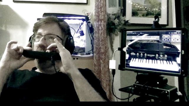 Jason Keene Plays The DM48 MIDI harmonica with KORG Piano sounds смотреть онлайн