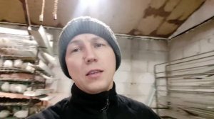 НЕ НАЧИНАЙ ДЕЛАТЬ ВЕНТИЛЯЦИЮ, НЕ ПОСМОТРЕВ ЭТО ВИДЕО/вентиляция в перепелятнике/техасский перепел