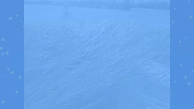 Хрустальное утро смотреть онлайн