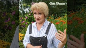 Эрва – гроза циститов и солей в моче