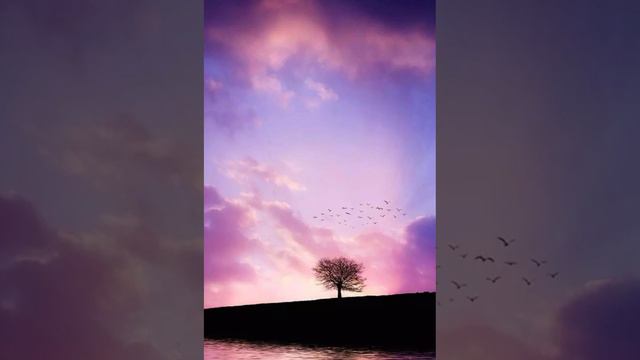 саловат.salovat