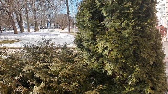 С Первым Днем Весны ! 1 Марта . Поздравление с началом весны! смотреть онлайн