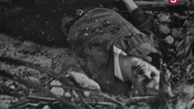 "Машина Килиманджаро". ЛенТВ, 1967 г. смотреть онлайн