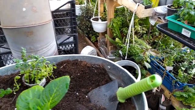 Видео отчёт по посевам 1ч. смотреть онлайн