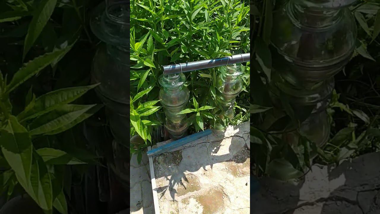 6 июля 2023 г. смотреть онлайн