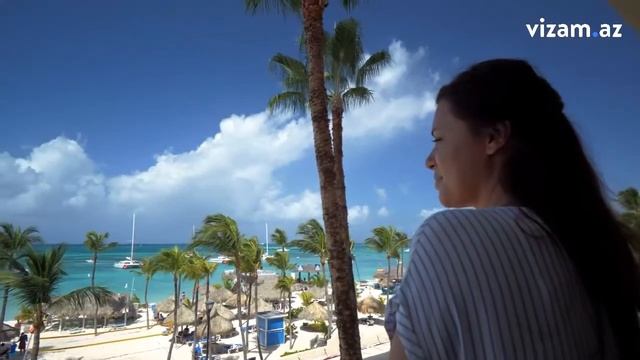 Visa to Mexico/ Meksikaya viza dəstəyi смотреть онлайн