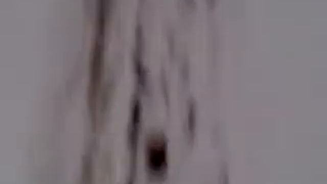 ПрИкОЛ ^ [Горнолыжник] смотреть онлайн