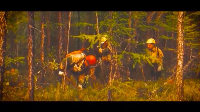 Чрезвычайный и высокий классы пожарной опасности лесов установились местами в Приангарье. смотреть онлайн