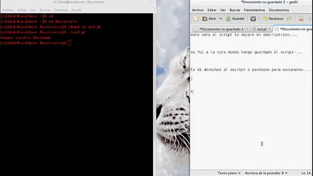 Copilación de script en perl. смотреть онлайн
