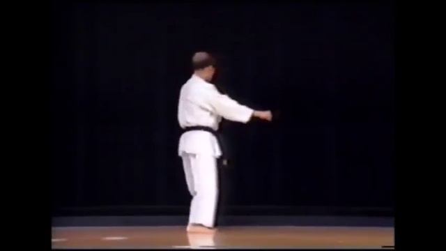 Сёсин Нагаминэ ката Ванкан 1997 смотреть онлайн