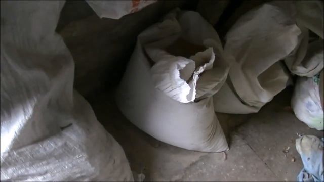 вьетнамские вислобрюхие свиньи, немного о кормлении и о сбыте поросят и ТД.( Подворье ТV) смотреть онлайн