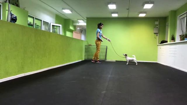 Занятие в зале смотреть онлайн