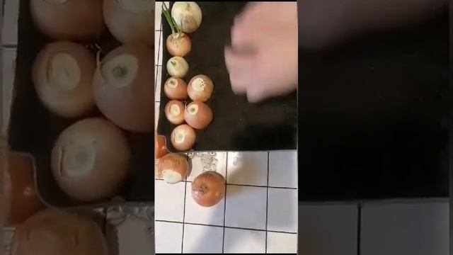 Выращивание зелёного лука зимой. Часть 2. смотреть онлайн