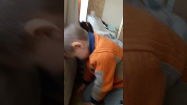 К чебурашке в чашку шлепнулась букашка... смотреть онлайн