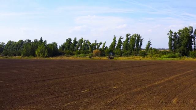 Новые лесополосы улучшат экологию региона смотреть онлайн
