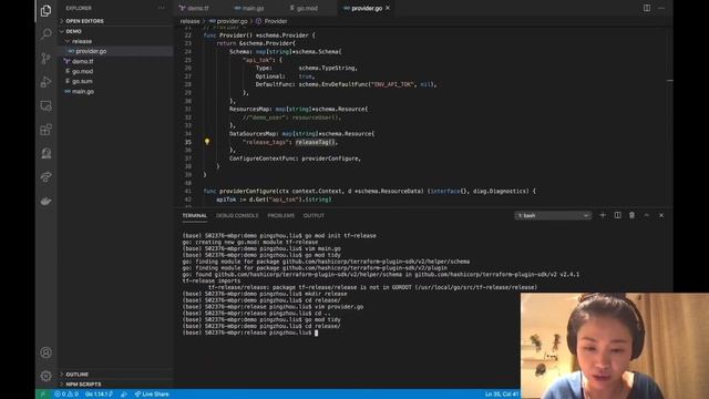 Using a Terraform Custom Provider to Handle Your Mandatory Tagging with Pingzhou Liu смотреть онлайн