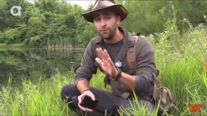 Укус каймановой черепахи