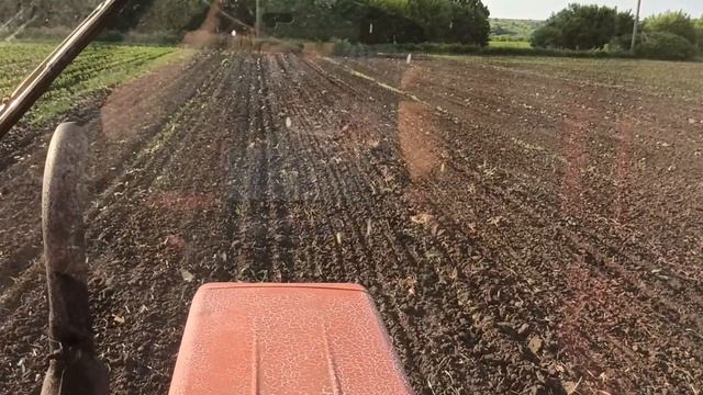 Прополка гарбузів трактором т-25 смотреть онлайн