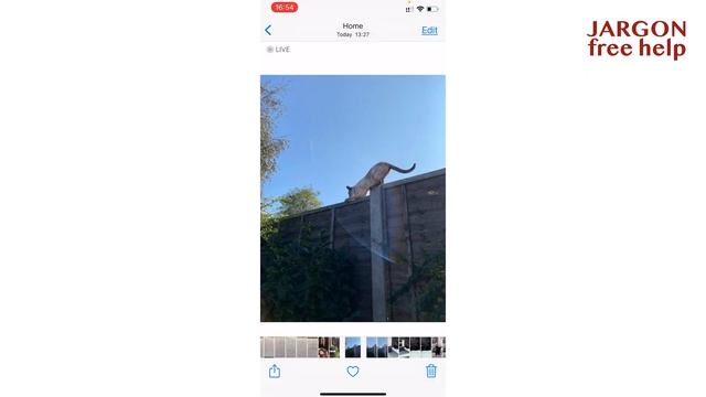 iOS 14 Tip: Saving Live Photo as a Video смотреть онлайн