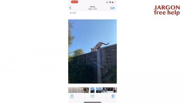 iOS 14 Tip: Saving Live Photo as a Video