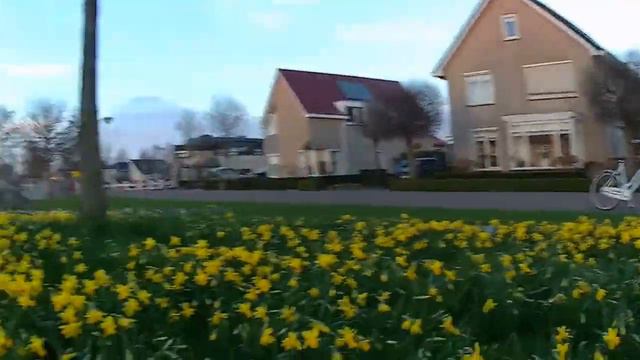 Narcissen with my drone SYMA X8HG смотреть онлайн