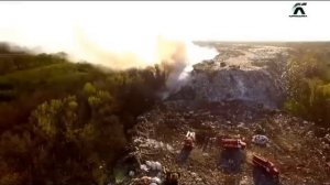 ПЯТЬ КРАСНЫХ РОЗ