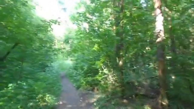 24 июня 23 год? смотреть онлайн