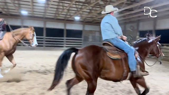 D/C Moody Mare Kicks Out to Resist Forward Motion смотреть онлайн