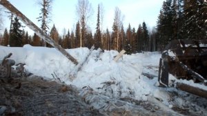 Работа древнего бульдозера Т-130 Как на самом деле...