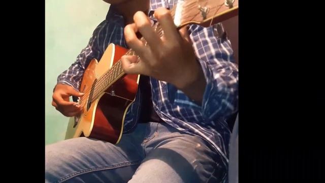 Guitar Flamenco(Nil )