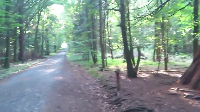 150-летняя американка в гостях в Германии смотреть онлайн