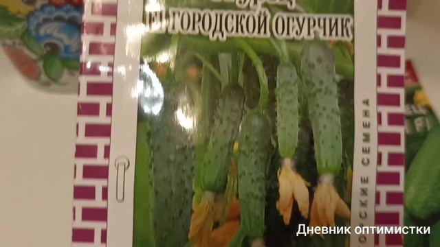Фиалки, помидоры, огурцы на окне, опыт неудачный, им мало света, видео 19 апреля смотреть онлайн