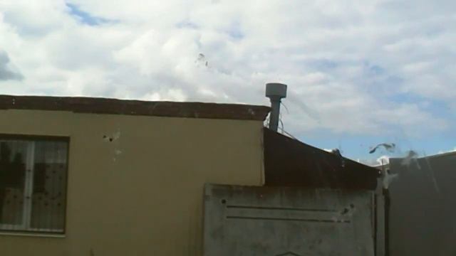 НОВЫЙ Рейс в Краснодарский край | Республика Адыгея | 1 часть смотреть онлайн