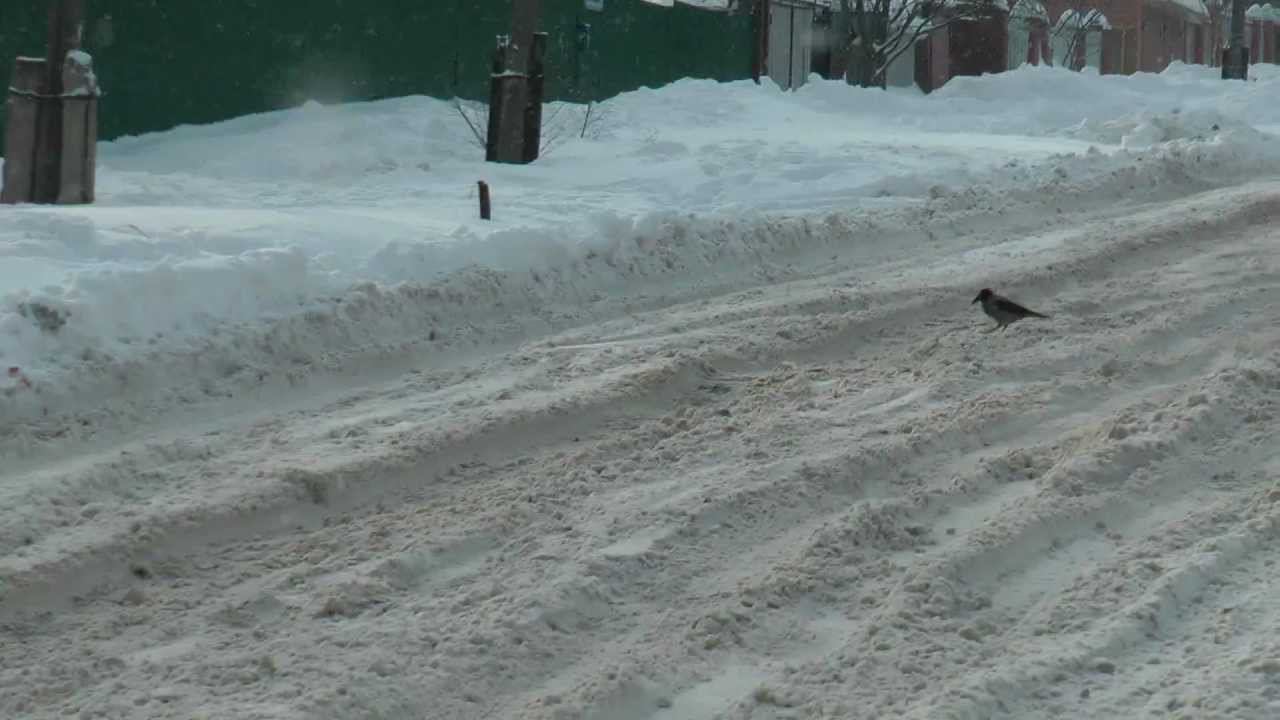 Снег на Чекалина