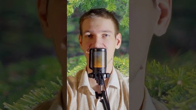 Обеспеченным женщинам - мужчина уже не нужен  #мд