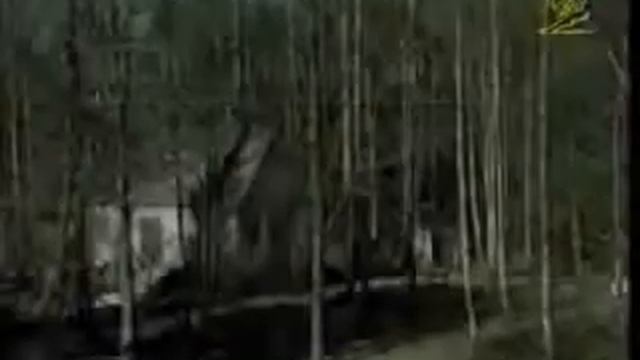 Братья Юкка
