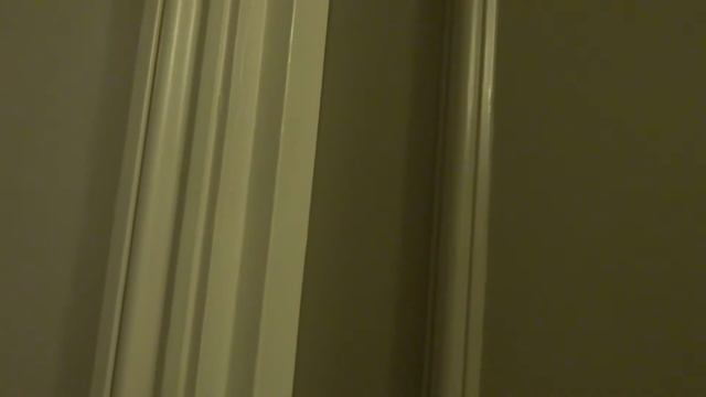 Aruna & Hari Sharma in St. James Court-A Taj Hotel Lift towards Rm 482, London UK, Aug 22, 2015 смотреть онлайн