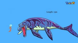 NEW SEA MONSTERS Size Comparison