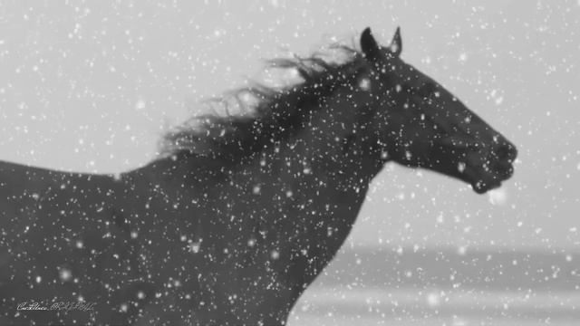 Погоняю лошадей -Эдуард Хуснутдинов... смотреть онлайн